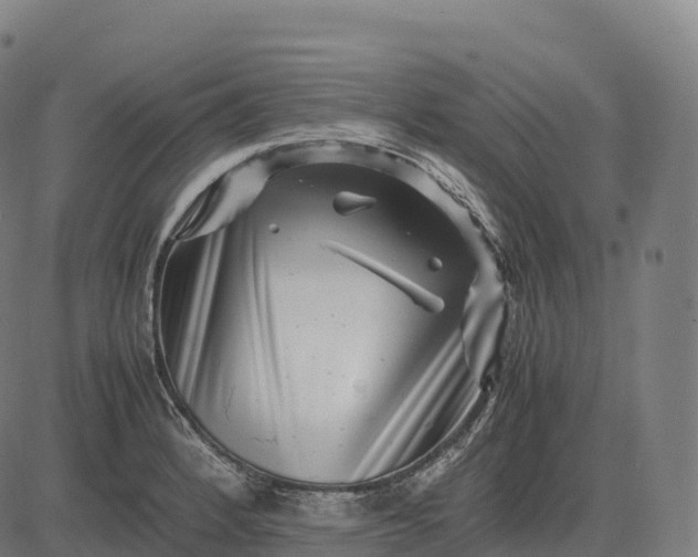 X0000082721184200702091805