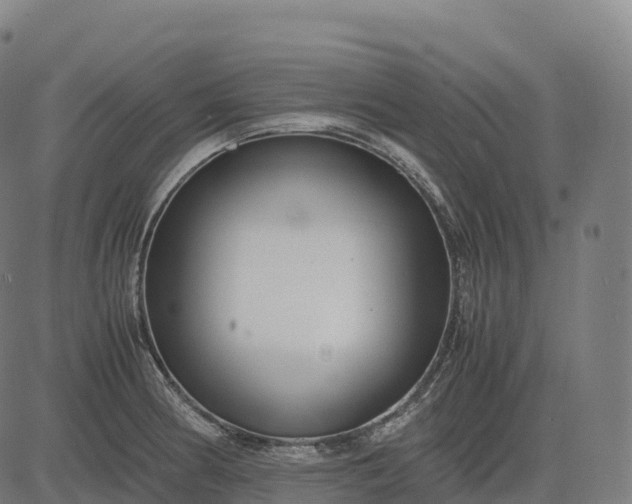 X0000082721186200702091805