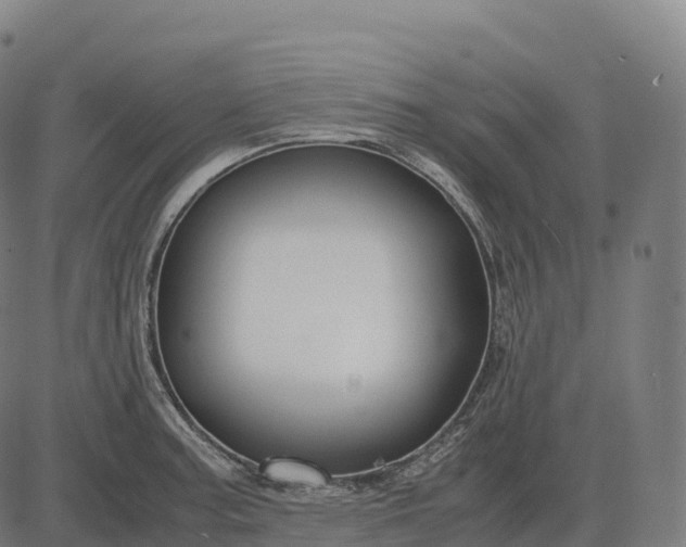 X0000082721187200702091805