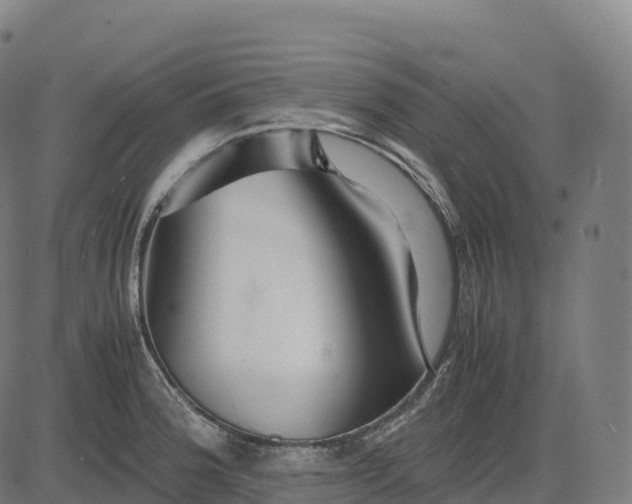 X0000082721188200702091805