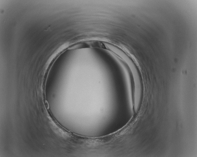 X0000082721189200702091805