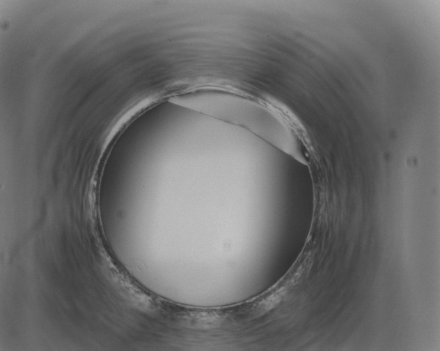 X0000082721190200702091805