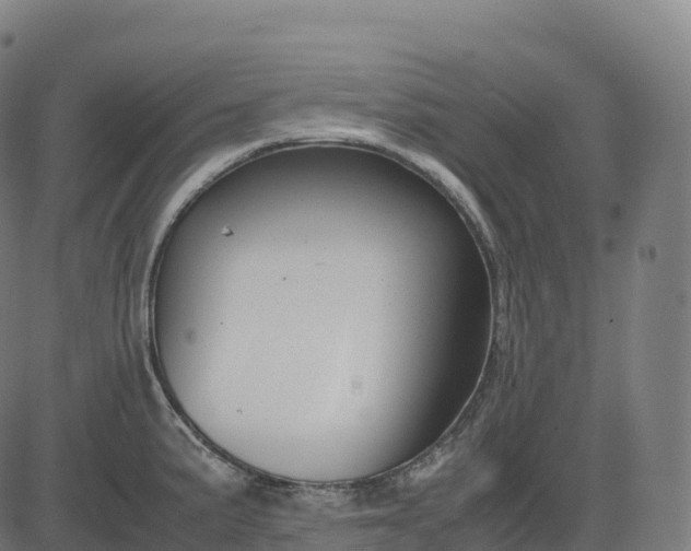 X0000082721191200702091805