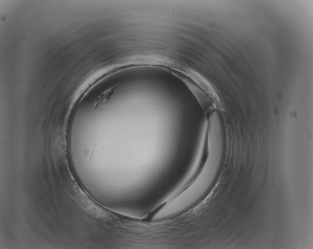 X0000082721192200702091805