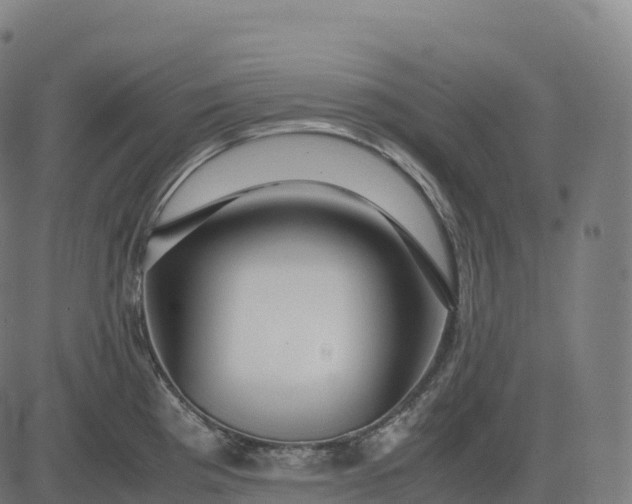 X0000082721193200702091805