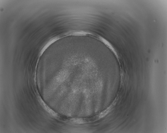 X0000082721194200702091805