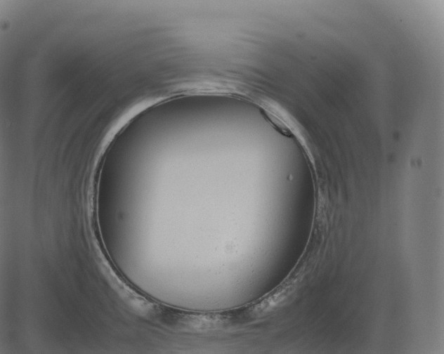 X0000082721195200702091805