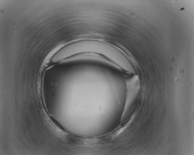 X0000082721196200702091805