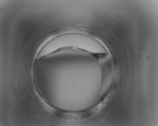 X0000082721197200702091805