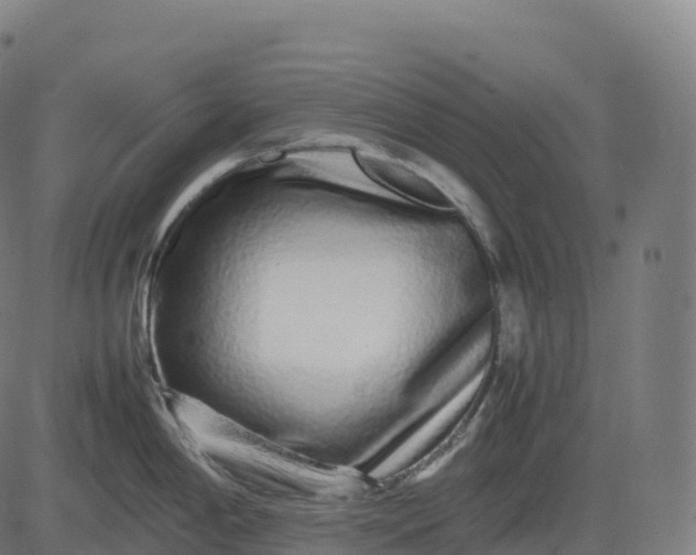 X0000082721198200702091805