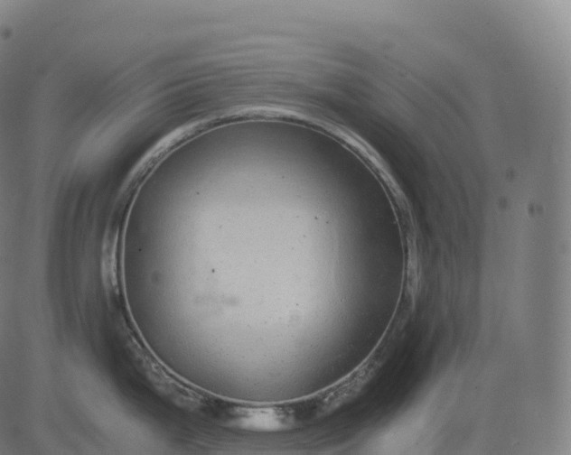 X0000082721199200702091805