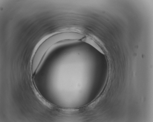 X0000082721200200702091805