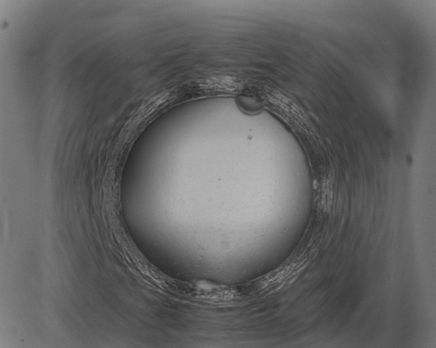 X0000082721201200702091804