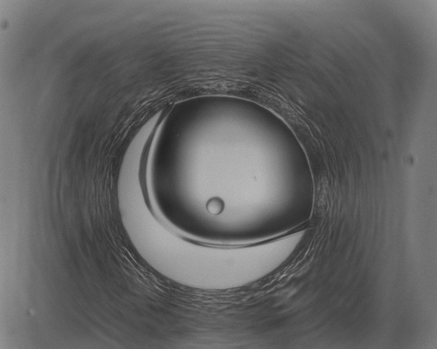 X0000082721202200702091804