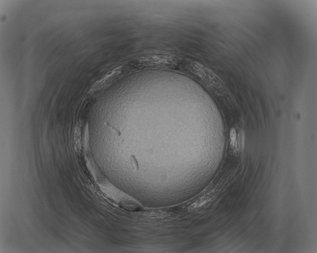 X0000082721203200702091804