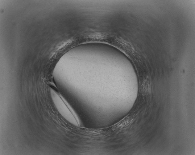 X0000082721205200702091804