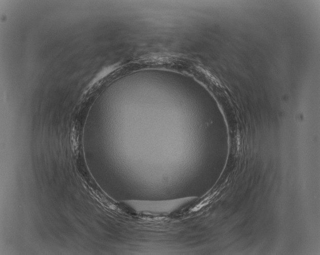 X0000082721206200702091804