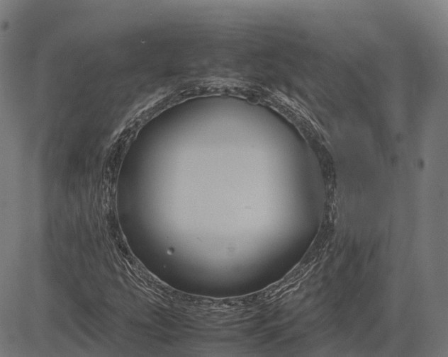 X0000082721207200702091804