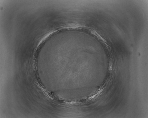 X0000082721208200702091804