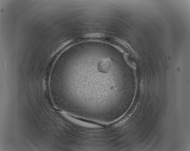 X0000082721209200702091804