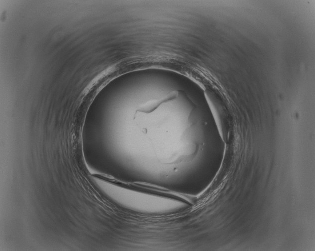 X0000082721210200702091804