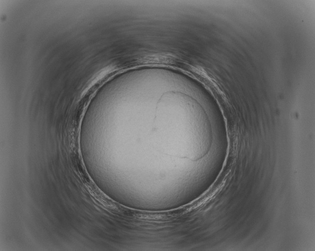 X0000082721211200702091804