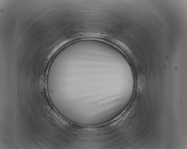 X0000082721212200702091804