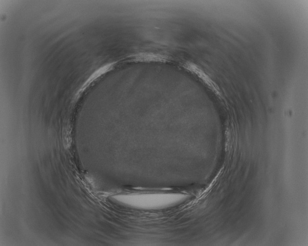 X0000082721213200702091804