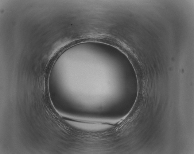 X0000082721214200702091804