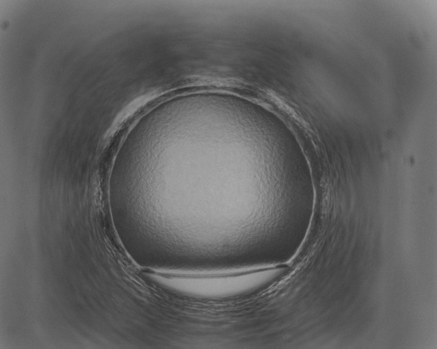 X0000082721215200702091804