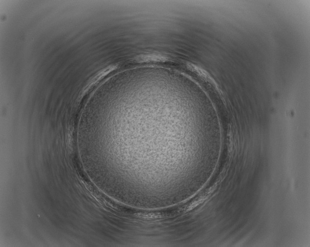 X0000082721217200702091804