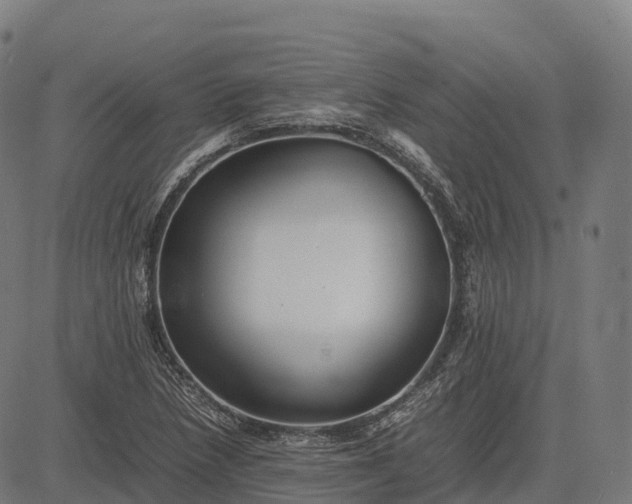 X0000082721218200702091804