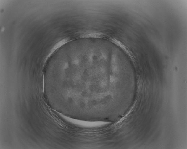 X0000082721219200702091804