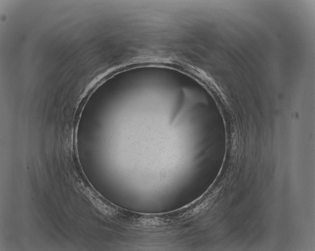 X0000082721220200702091804