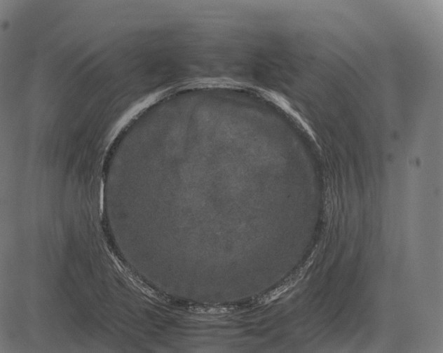 X0000082721221200702091804