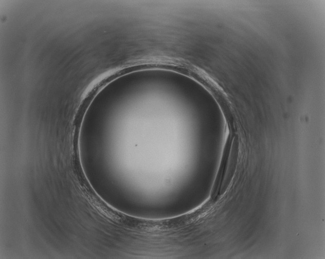 X0000082721222200702091804