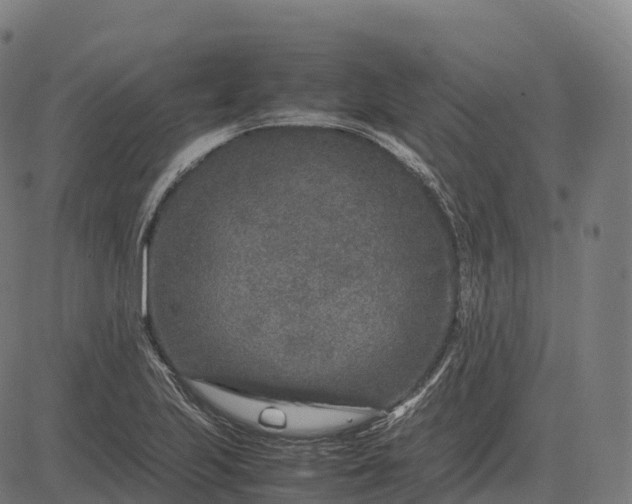 X0000082721223200702091804