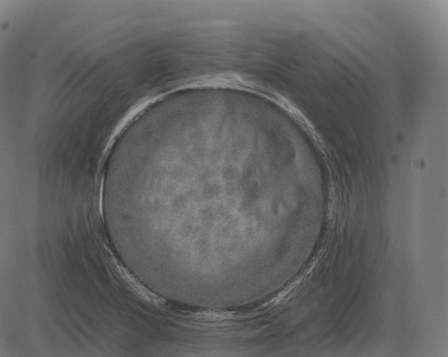 X0000082721224200702091804