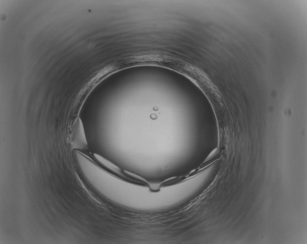 X0000082721225200702091804