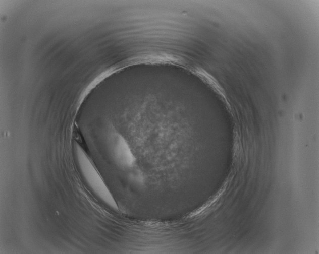 X0000082721226200702091804