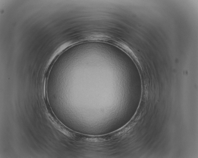 X0000082721227200702091804