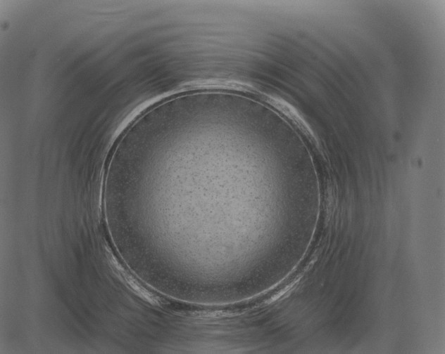 X0000082721228200702091804