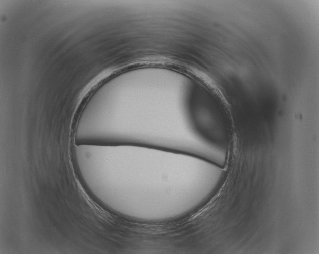 X0000082721229200702091804