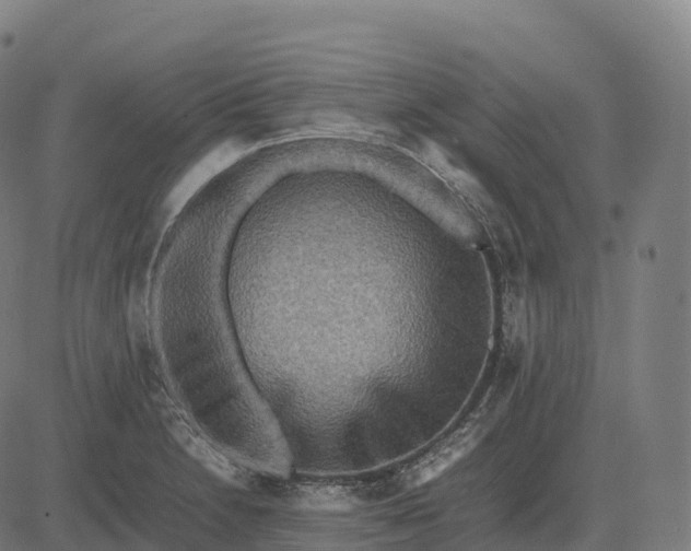 X0000082721230200702091804