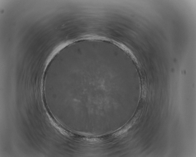 X0000082721231200702091804