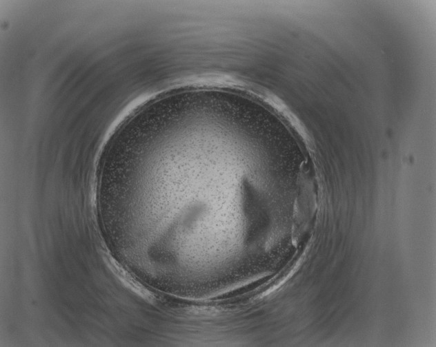 X0000082721232200702091804