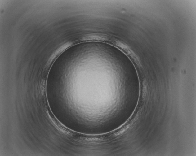 X0000082721233200702091804