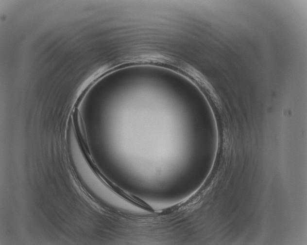 X0000082721234200702091804