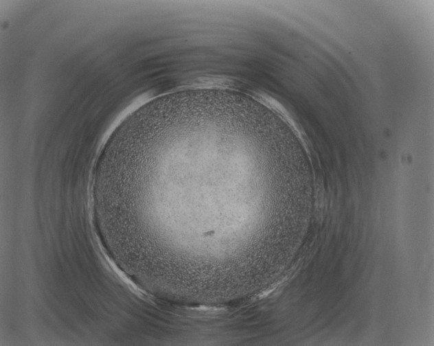 X0000082721235200702091804