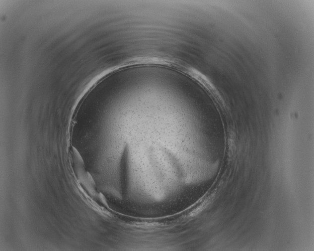 X0000082721236200702091804